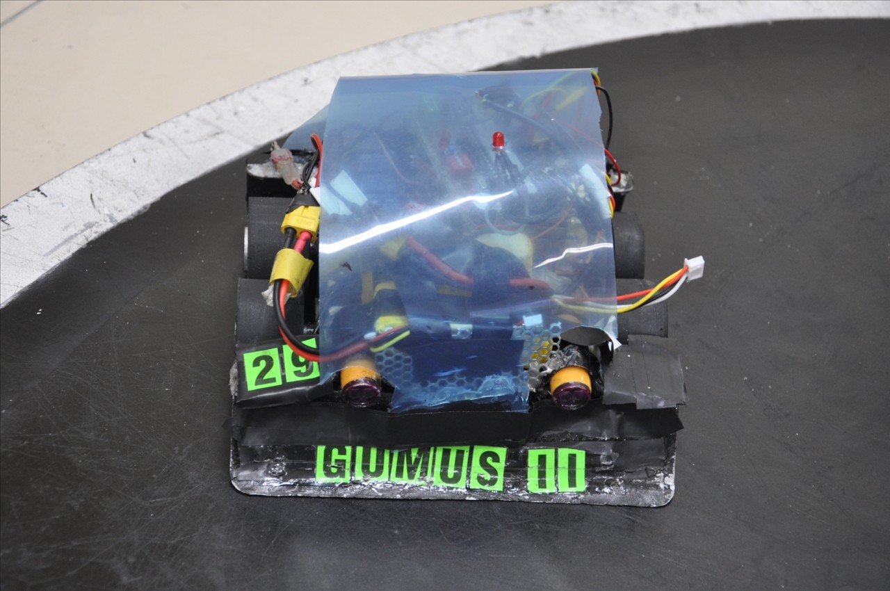 Aslan, Gümüş 1 ve Fırtına Görücüye Çıktı 4