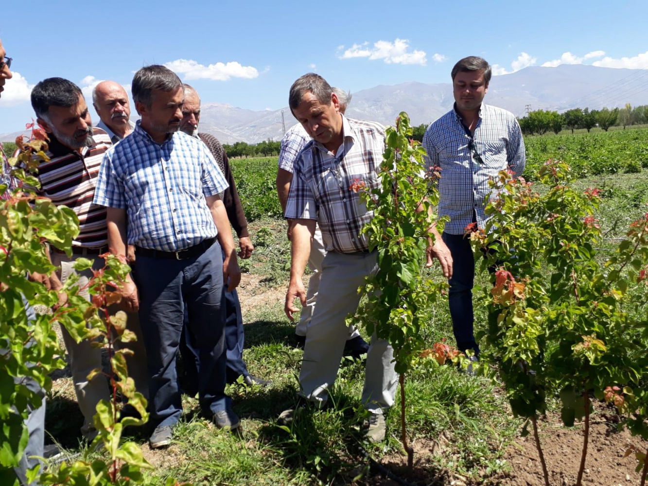 Gümüşhaneli çiftçilere teknik gezi 8