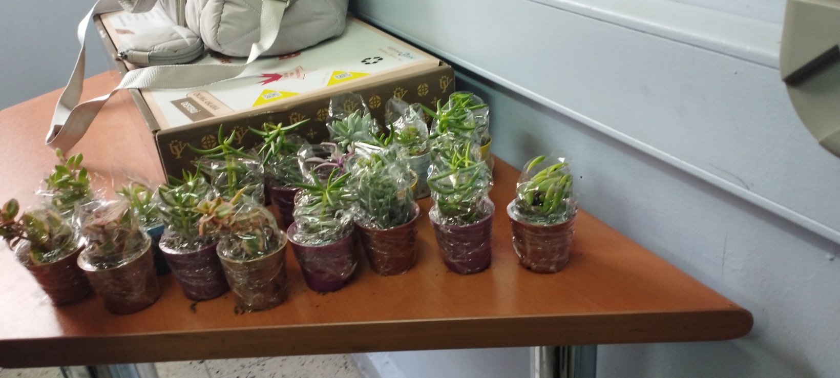 Turizm Fakültesi’nden 6 farklı sosyal sorumluluk projesi 6