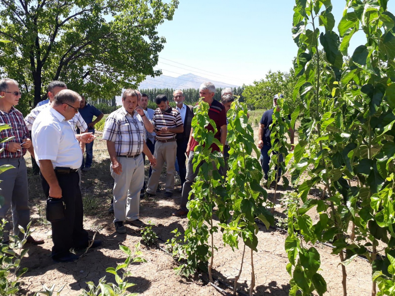 Gümüşhaneli çiftçilere teknik gezi 10