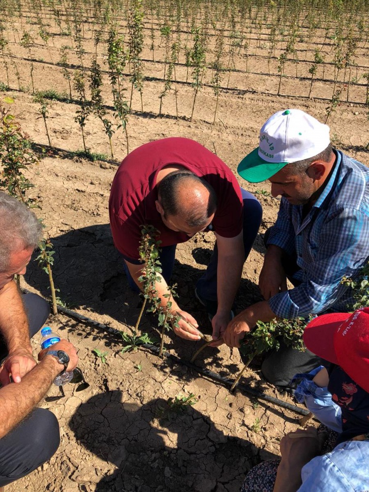 Gümüşhaneli çiftçilere teknik gezi 12