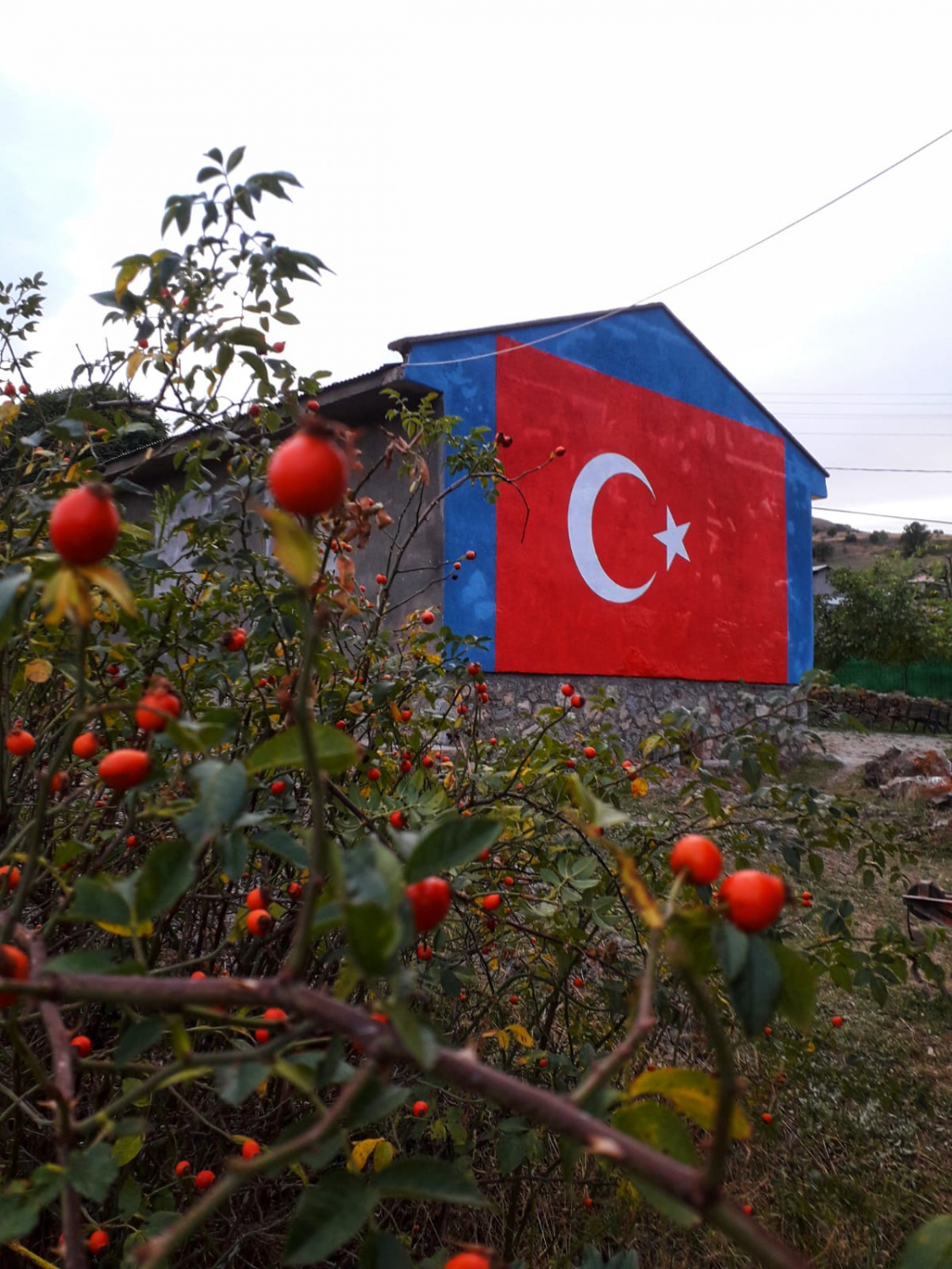 Eski okulun duvarına dev Türk Bayrağı çizdi 3