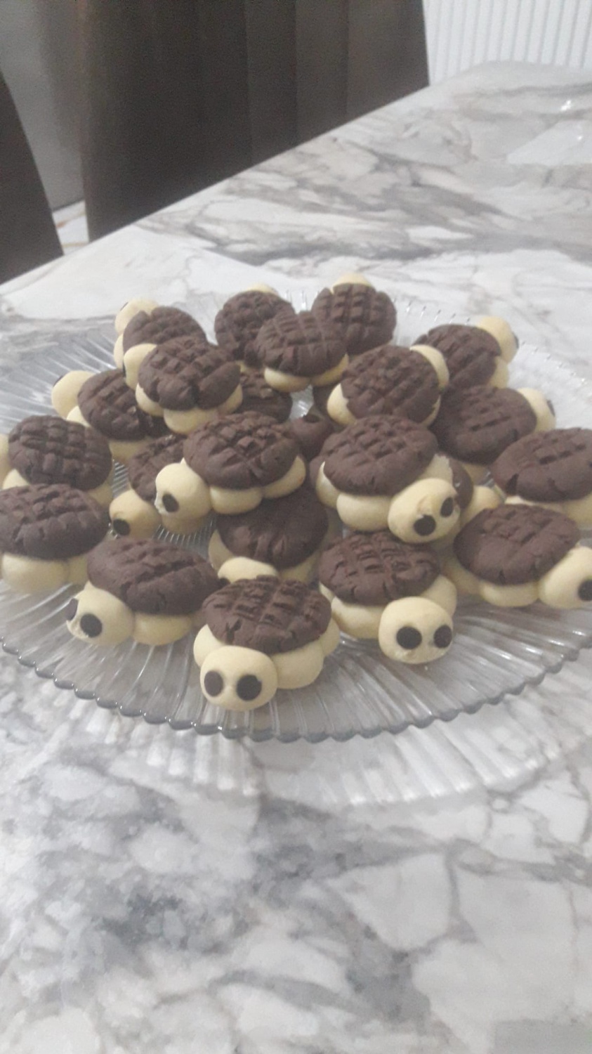 Yunus Emre’ye bir doğum günü hediyesi de Dumlupınar’dan 8