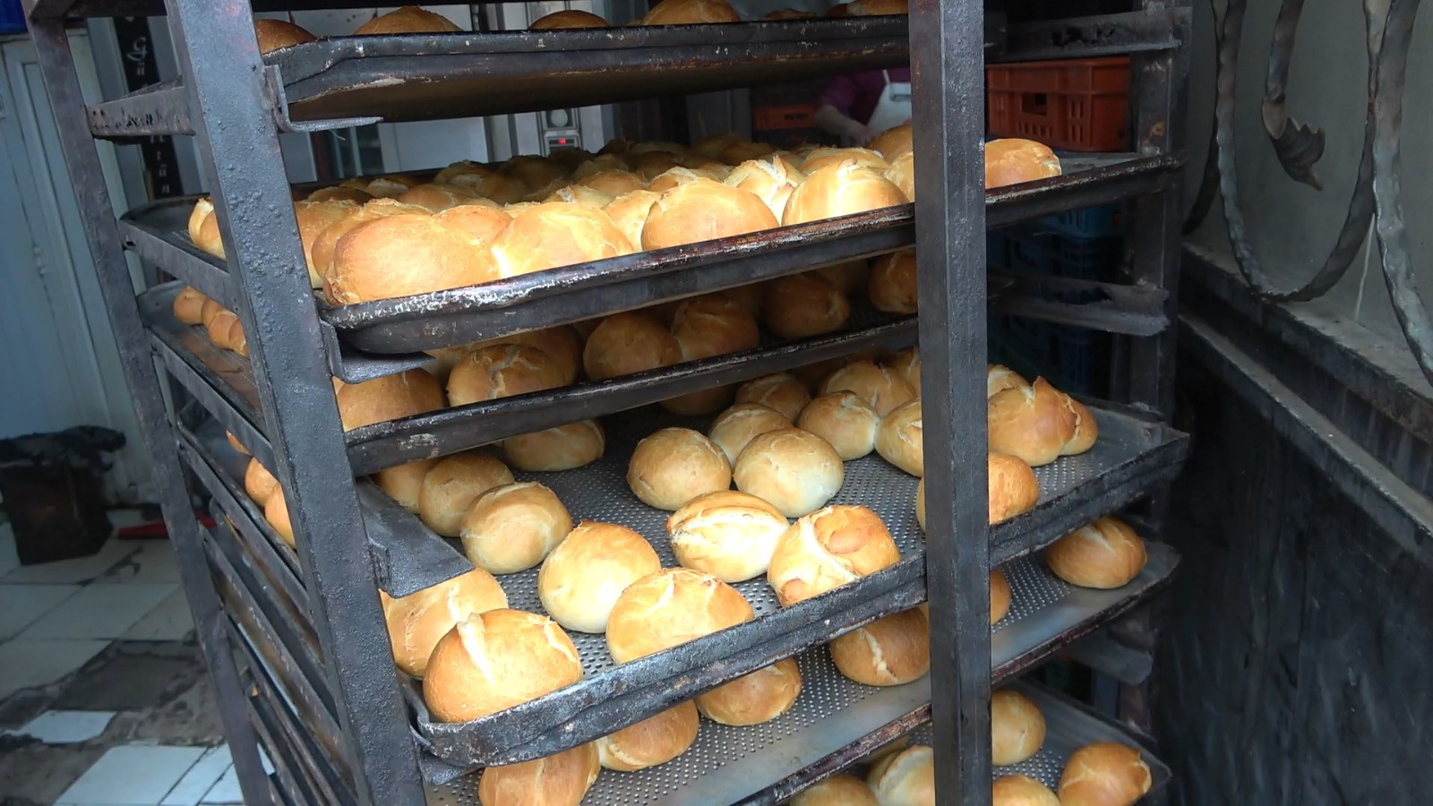 Gümüşhane’den 25 bin ekmek depremzedeler için yola çıktı 6