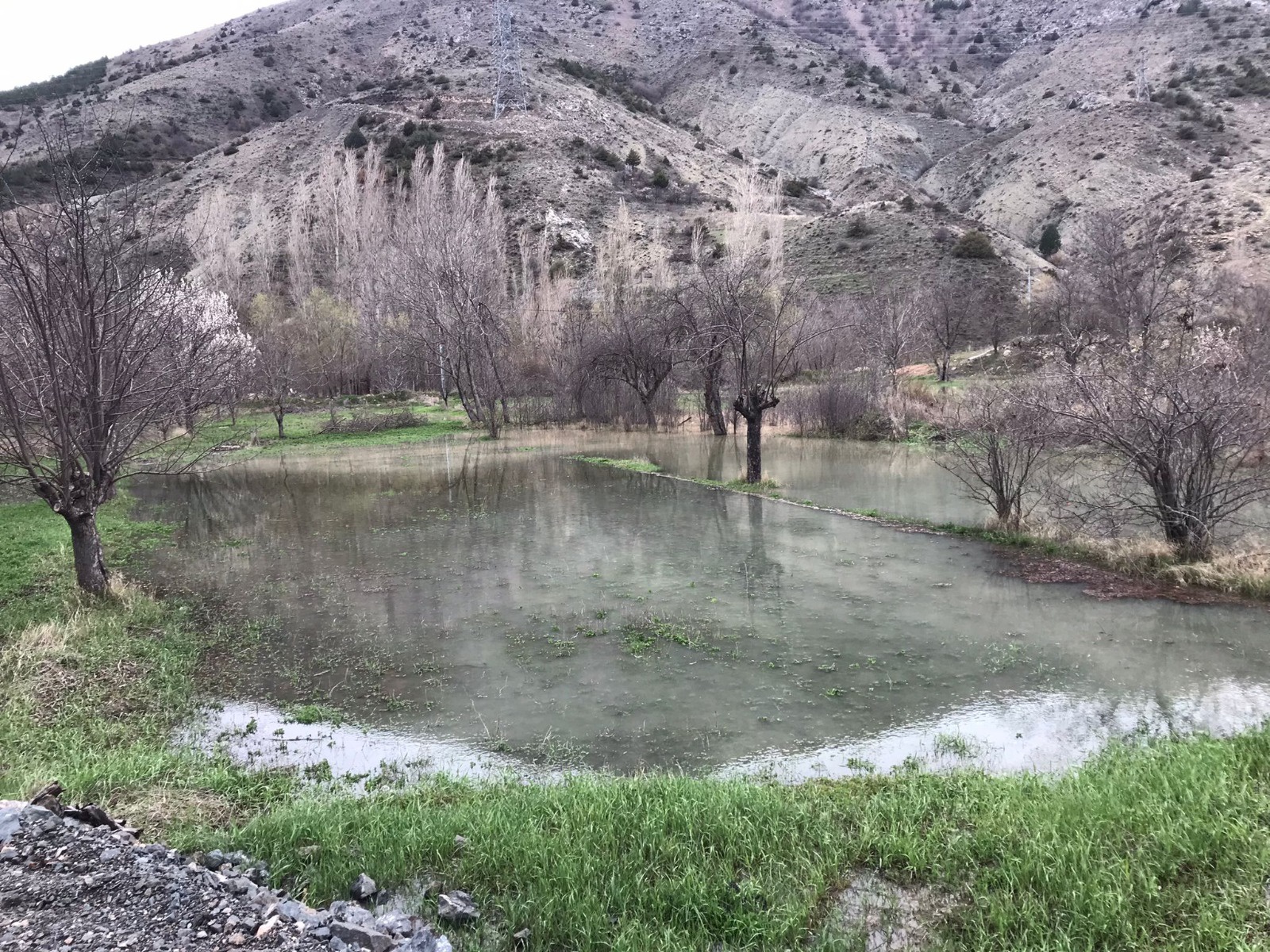 Harşit Çayı taştı bahçeler göle döndü 9