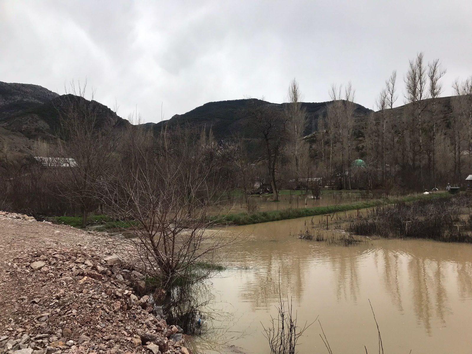 Harşit Çayı taştı bahçeler göle döndü 10