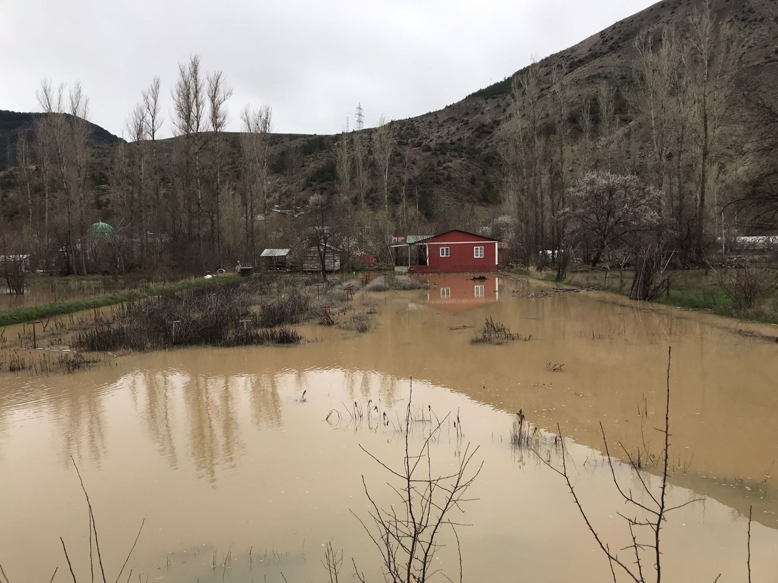 Harşit Çayı taştı bahçeler göle döndü 6