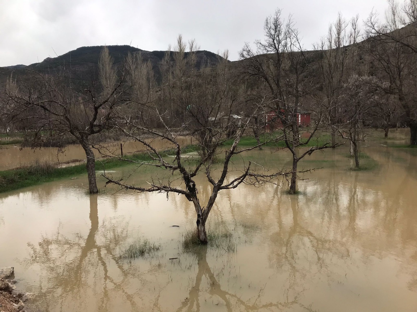 Harşit Çayı taştı bahçeler göle döndü 3