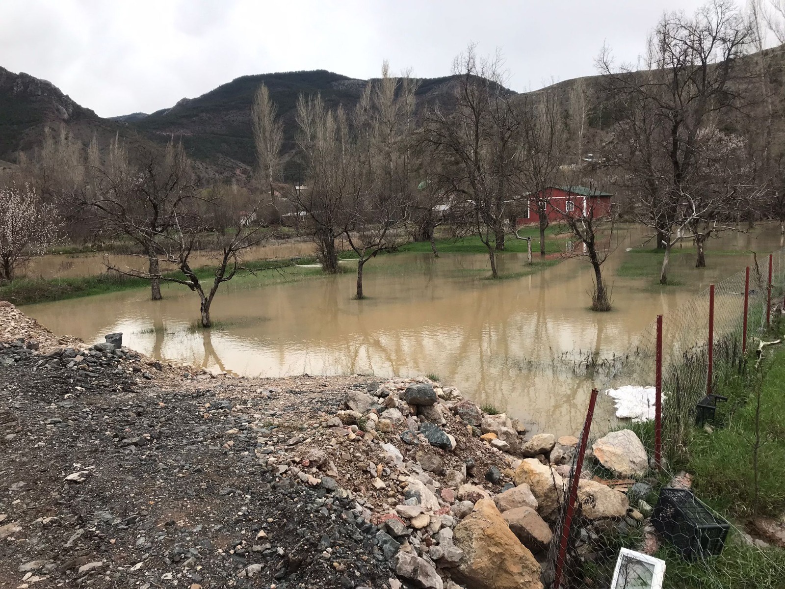 Harşit Çayı taştı bahçeler göle döndü 11