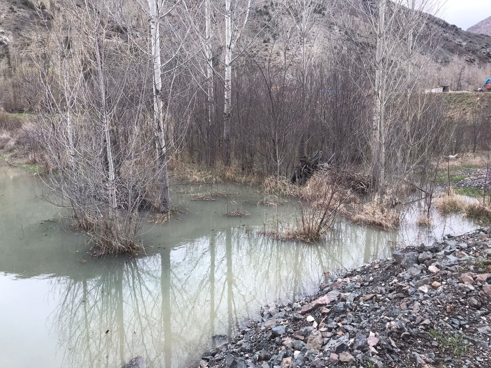 Harşit Çayı taştı bahçeler göle döndü 12