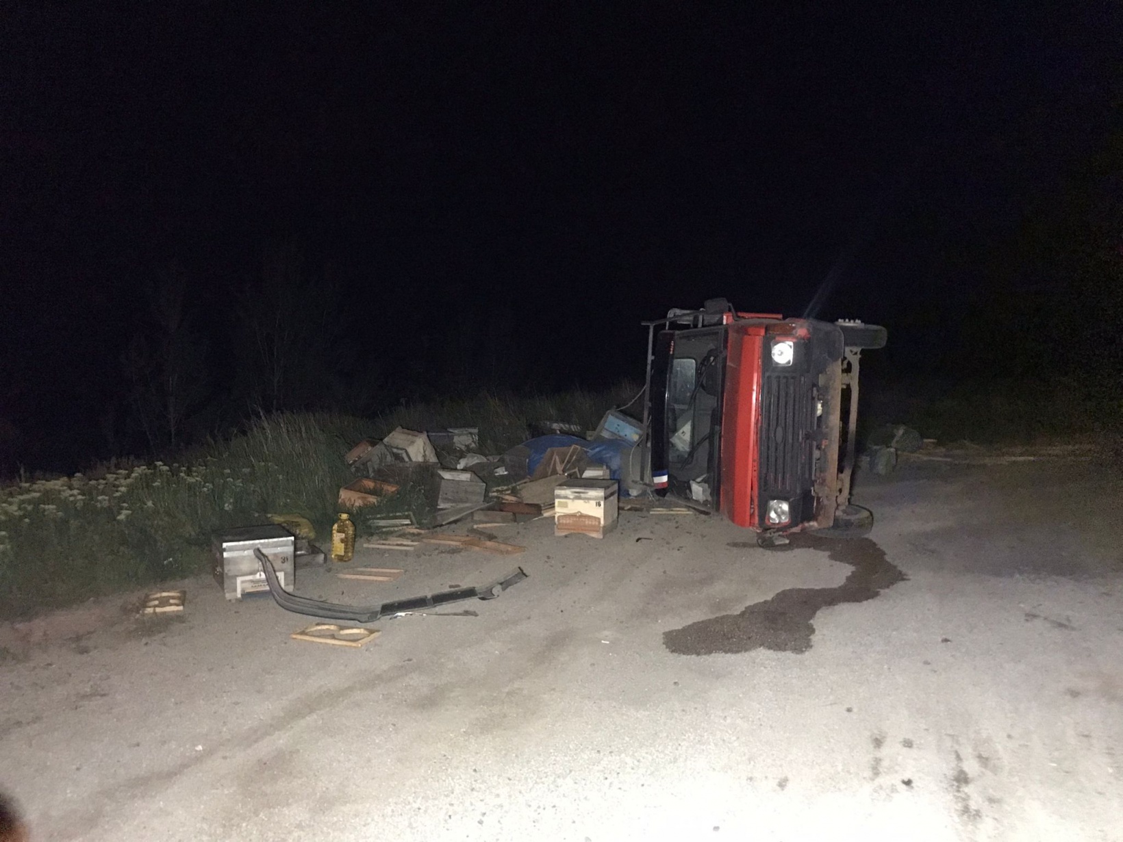 Arı yüklü pikap yan yattı, 60 arı telef oldu 1