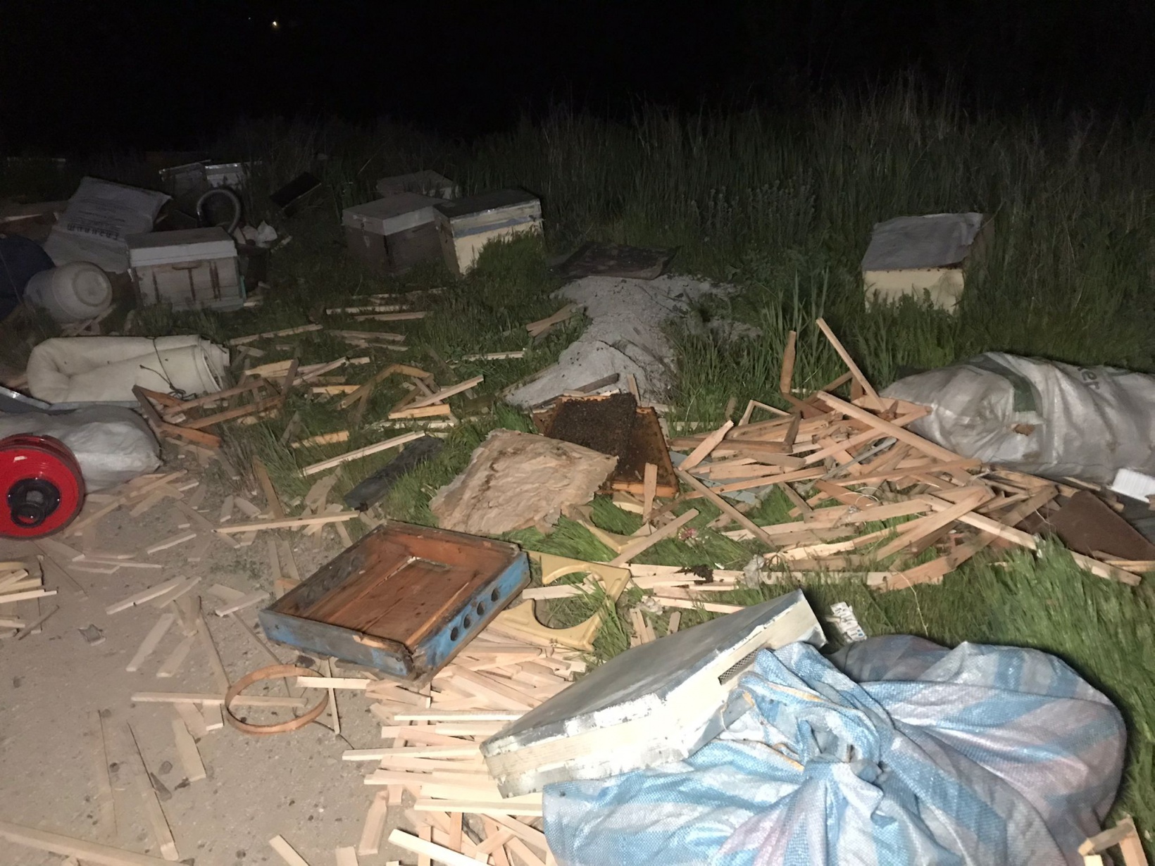 Arı yüklü pikap yan yattı, 60 arı telef oldu 4