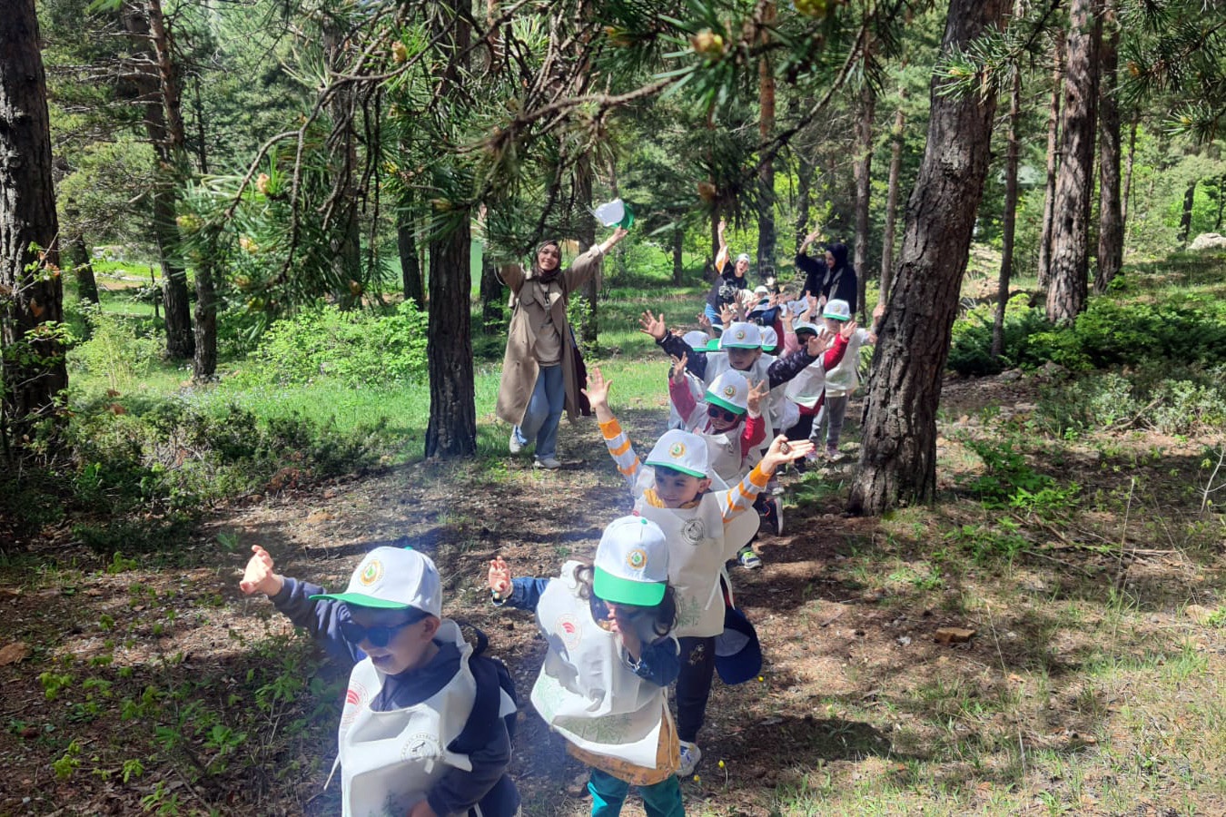 Minik öğrencilerden orman keşfi 1