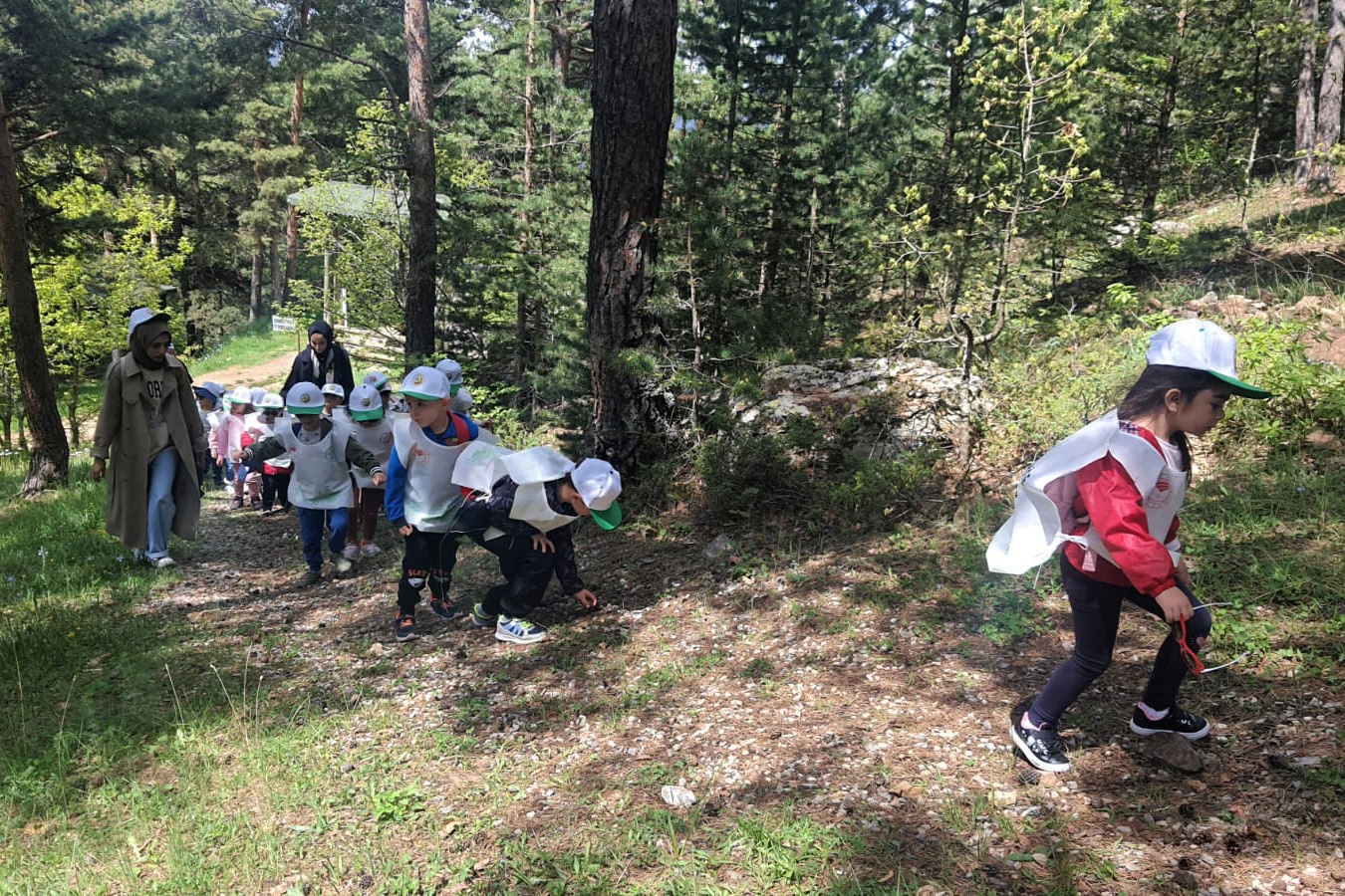 Minik öğrencilerden orman keşfi 11