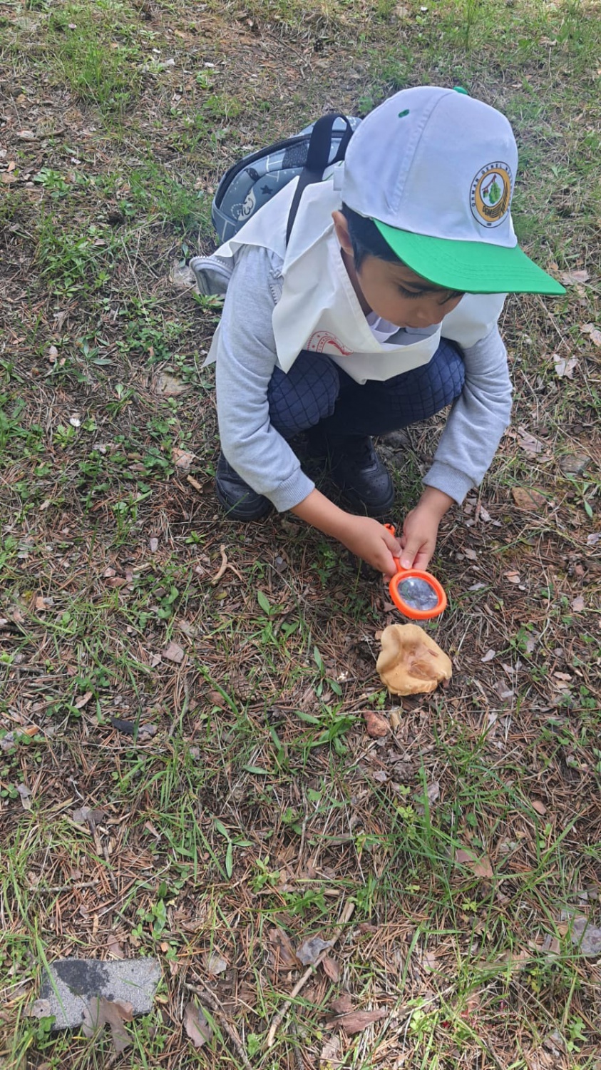 Minik öğrencilerden orman keşfi 6