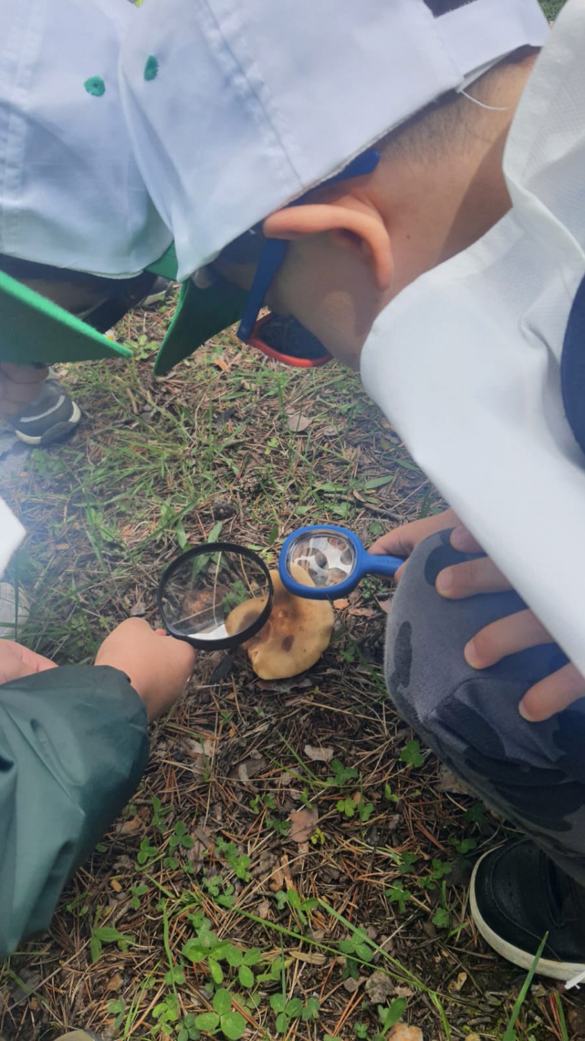 Minik öğrencilerden orman keşfi 5