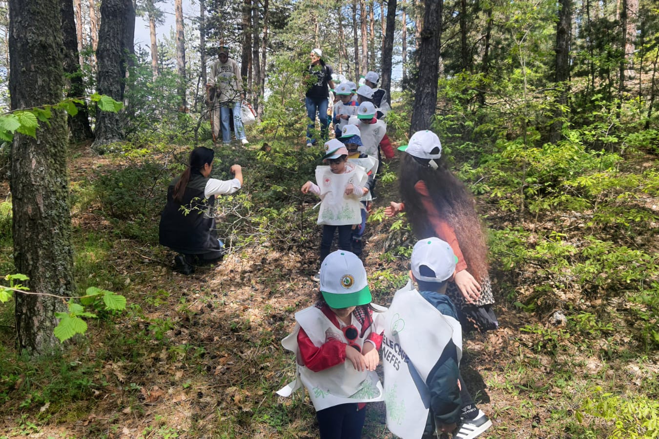 Minik öğrencilerden orman keşfi 14