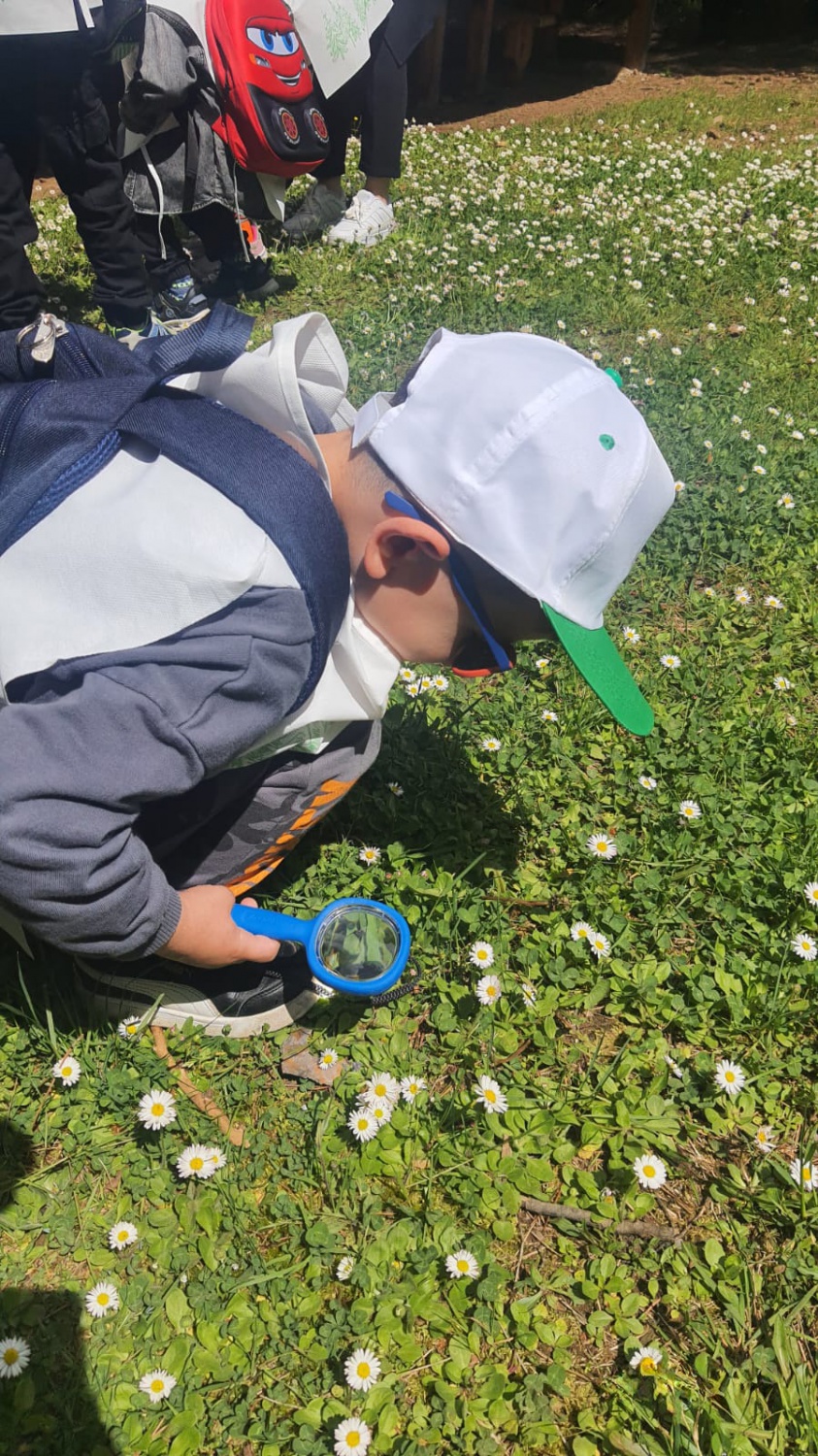 Minik öğrencilerden orman keşfi 3