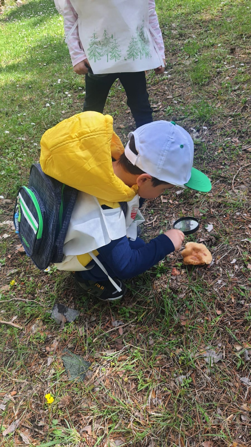 Minik öğrencilerden orman keşfi 4