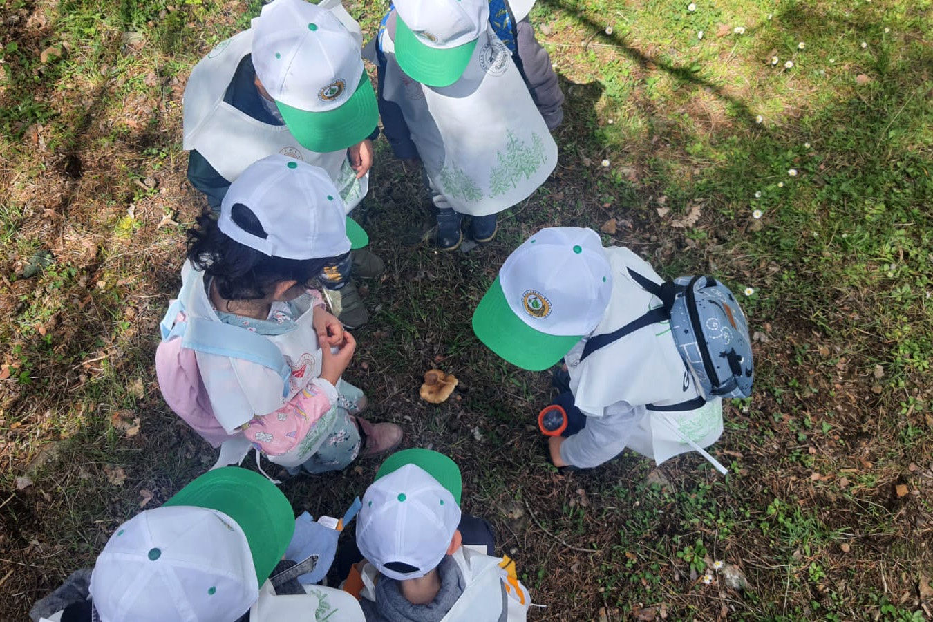 Minik öğrencilerden orman keşfi 7