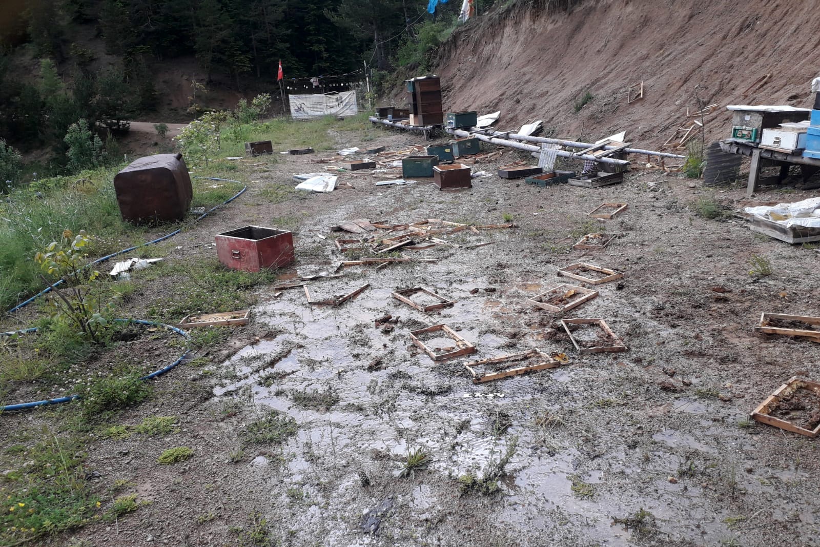 Ayılar toprağı kazıp girdiği alandaki kovanları parçaladı 3