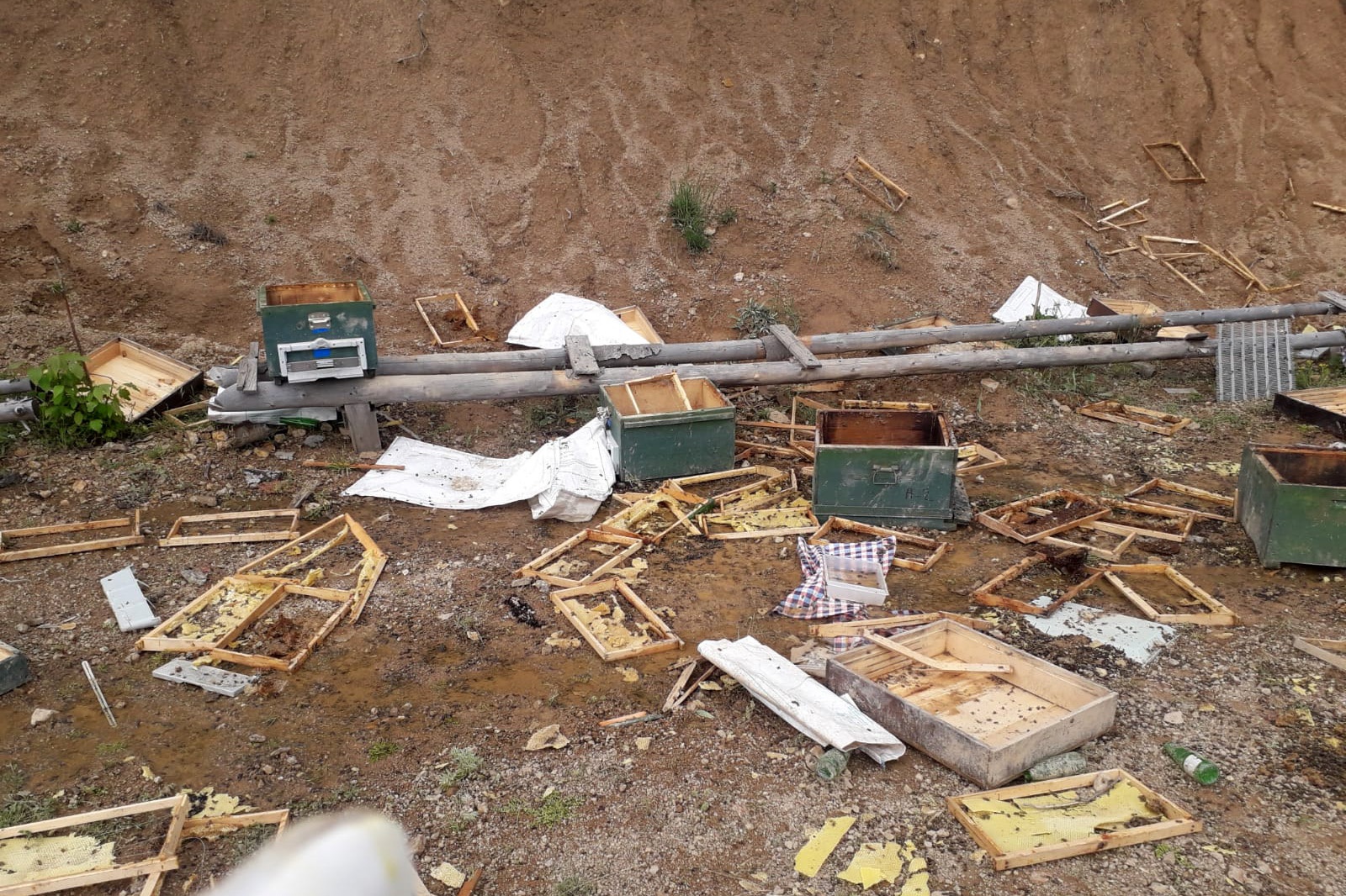 Ayılar toprağı kazıp girdiği alandaki kovanları parçaladı 5