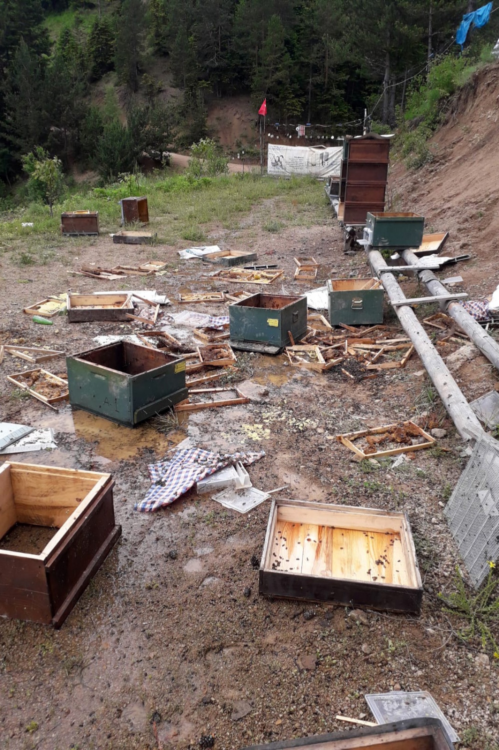 Ayılar toprağı kazıp girdiği alandaki kovanları parçaladı 4