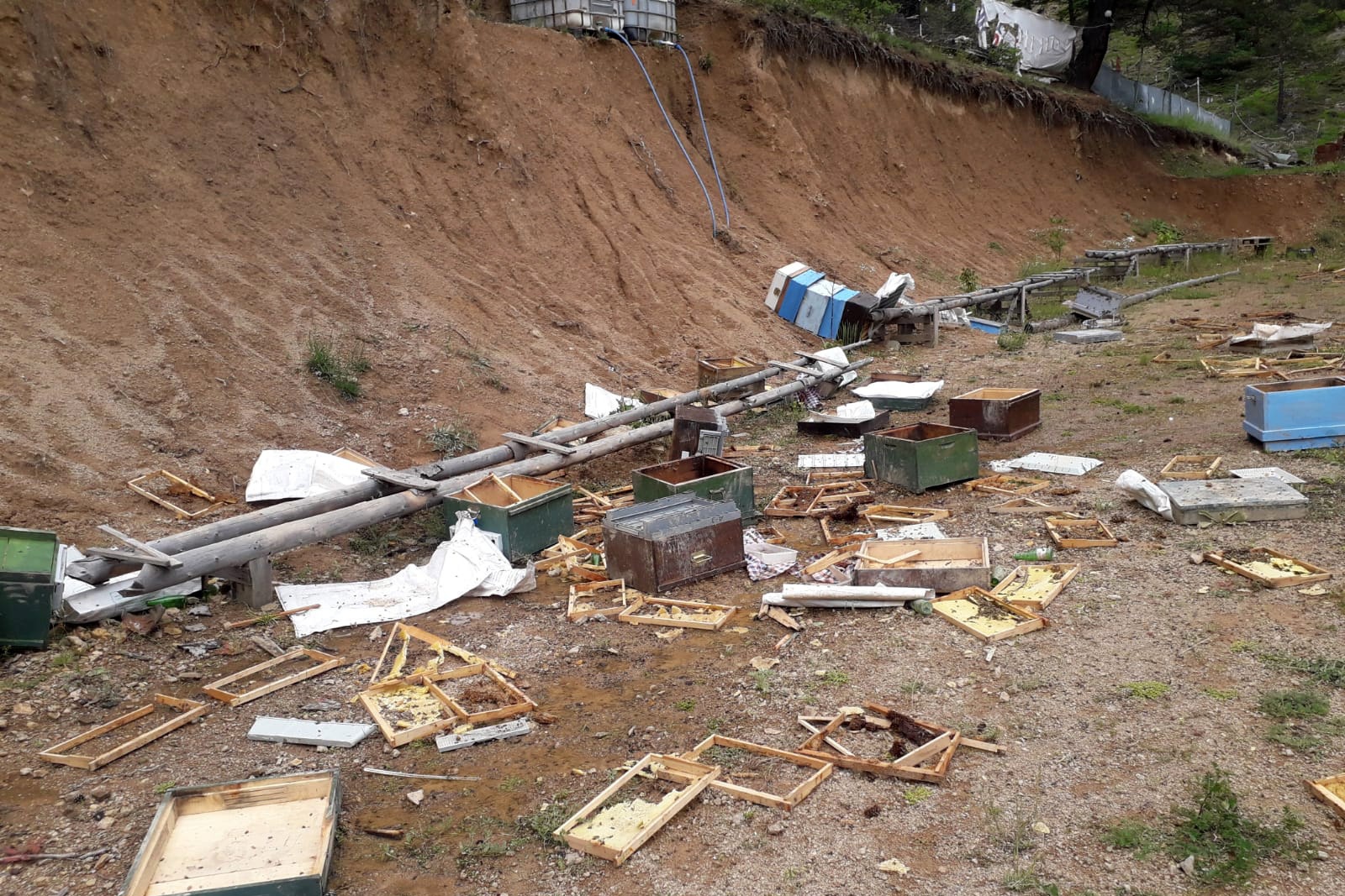 Ayılar toprağı kazıp girdiği alandaki kovanları parçaladı 2