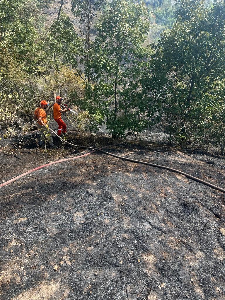 Gümüşhane'de iki köyde yangın paniği 2