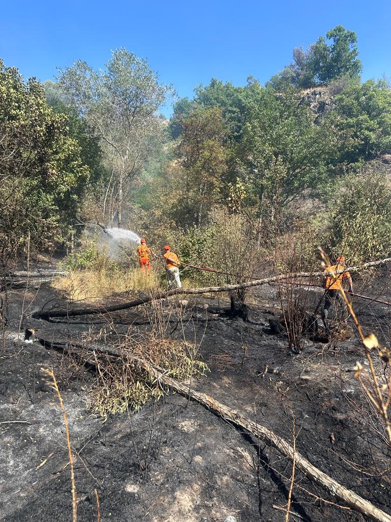 Gümüşhane'de iki köyde yangın paniği 3