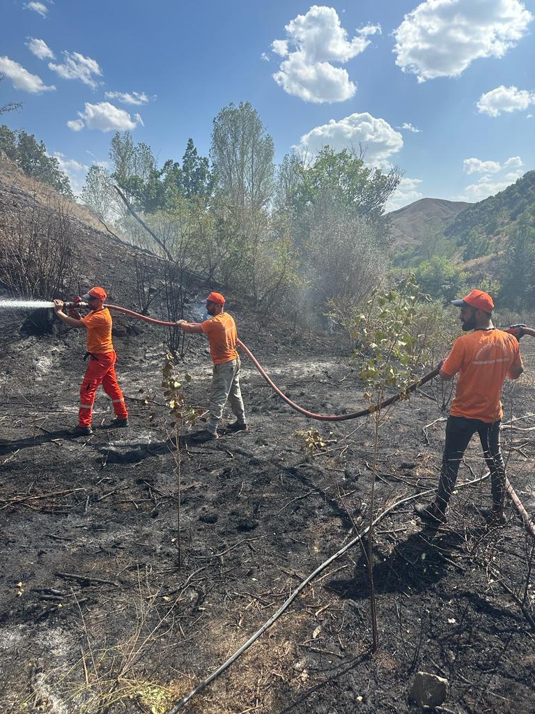 Gümüşhane'de iki köyde yangın paniği 5