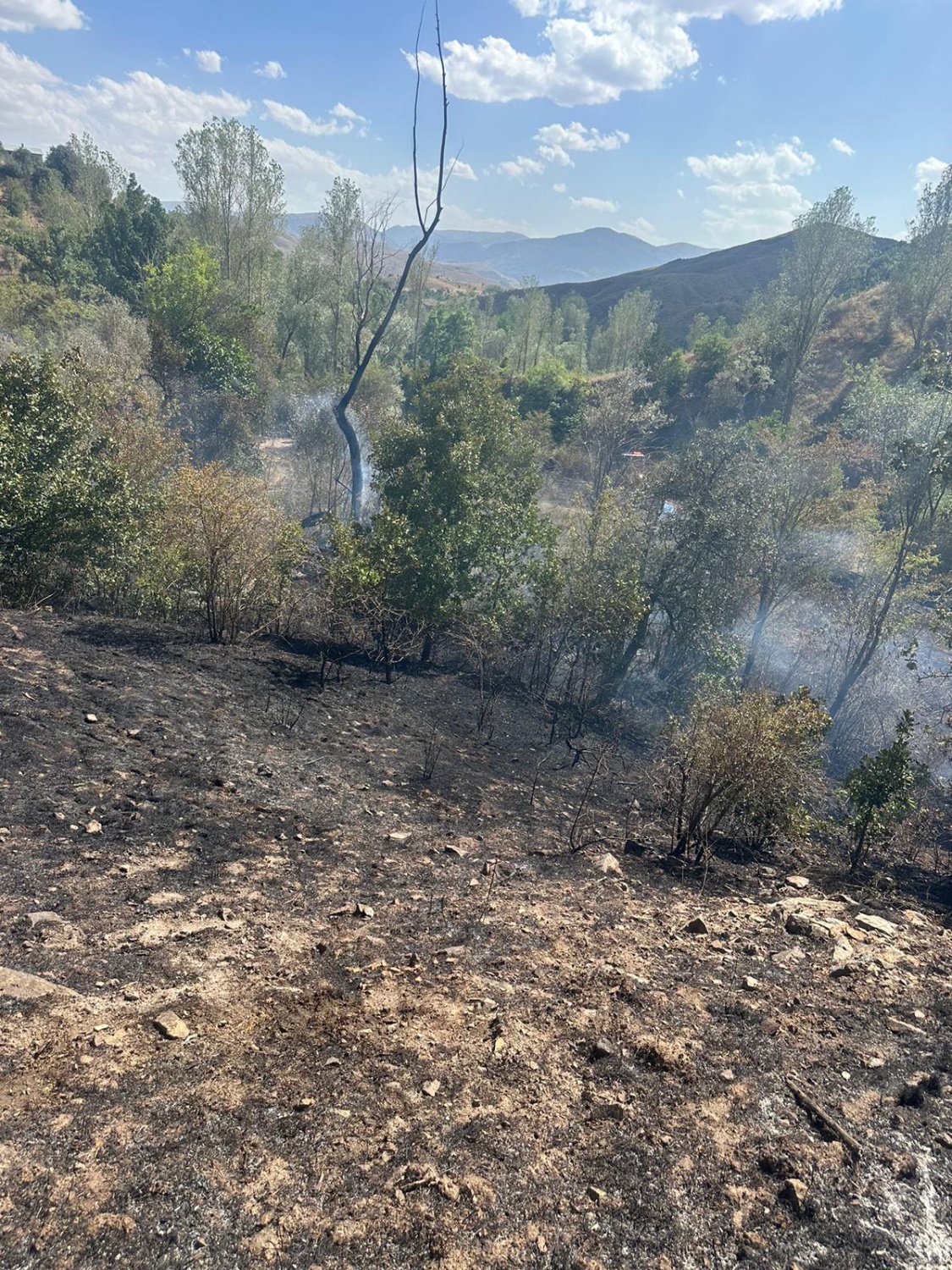 Gümüşhane'de iki köyde yangın paniği 7