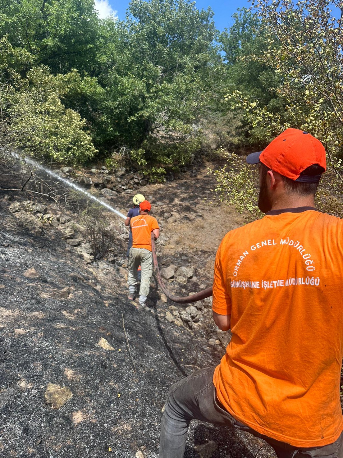 Gümüşhane'de iki köyde yangın paniği 10
