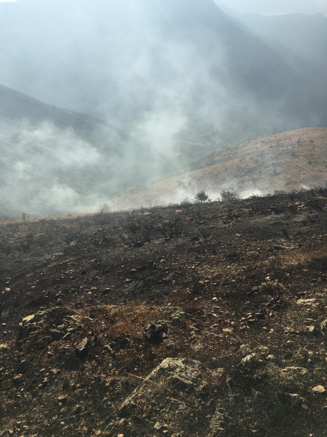 Gümüşhane'de iki köyde yangın paniği 6