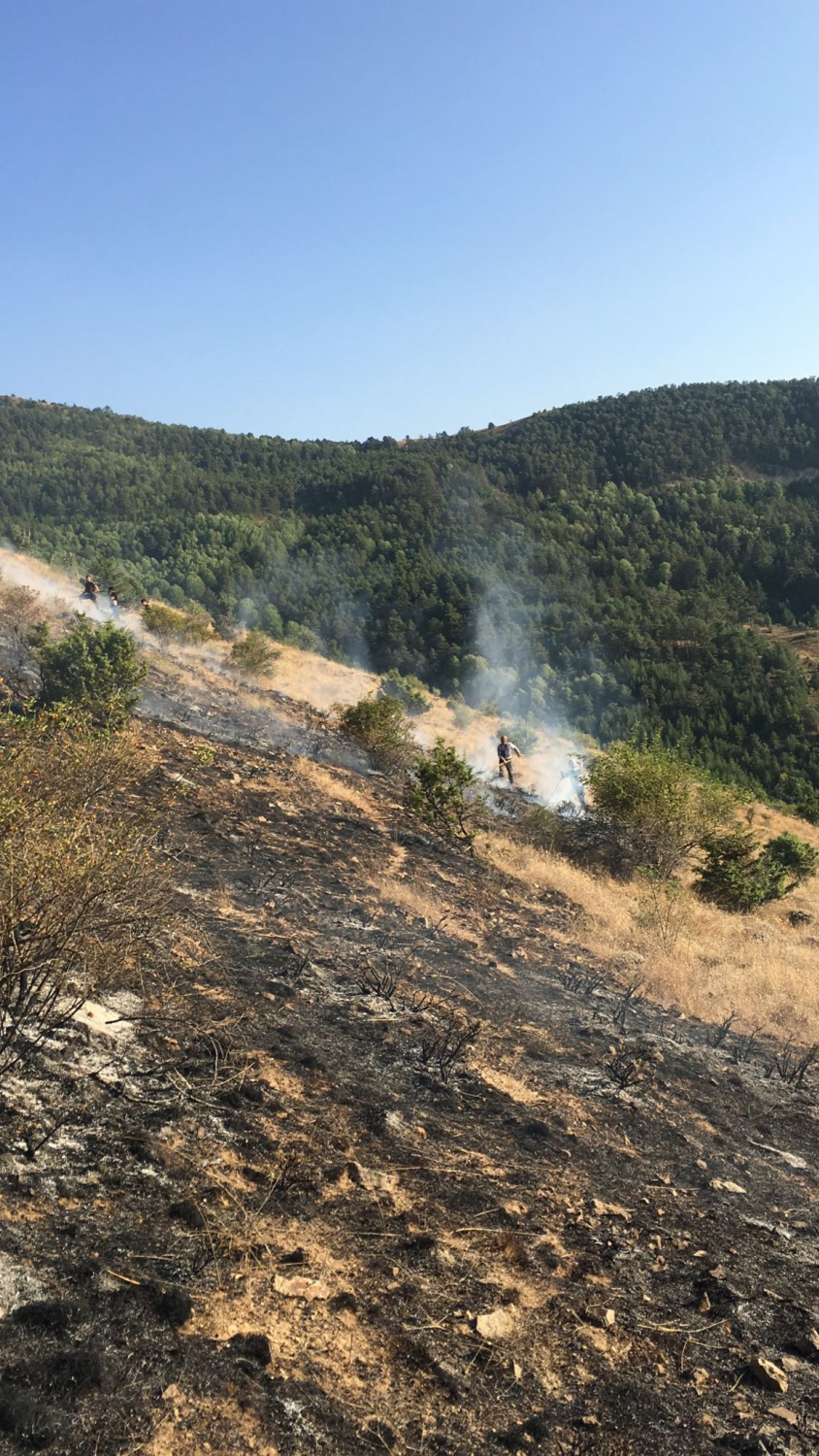 Gümüşhane'de iki köyde yangın paniği 4