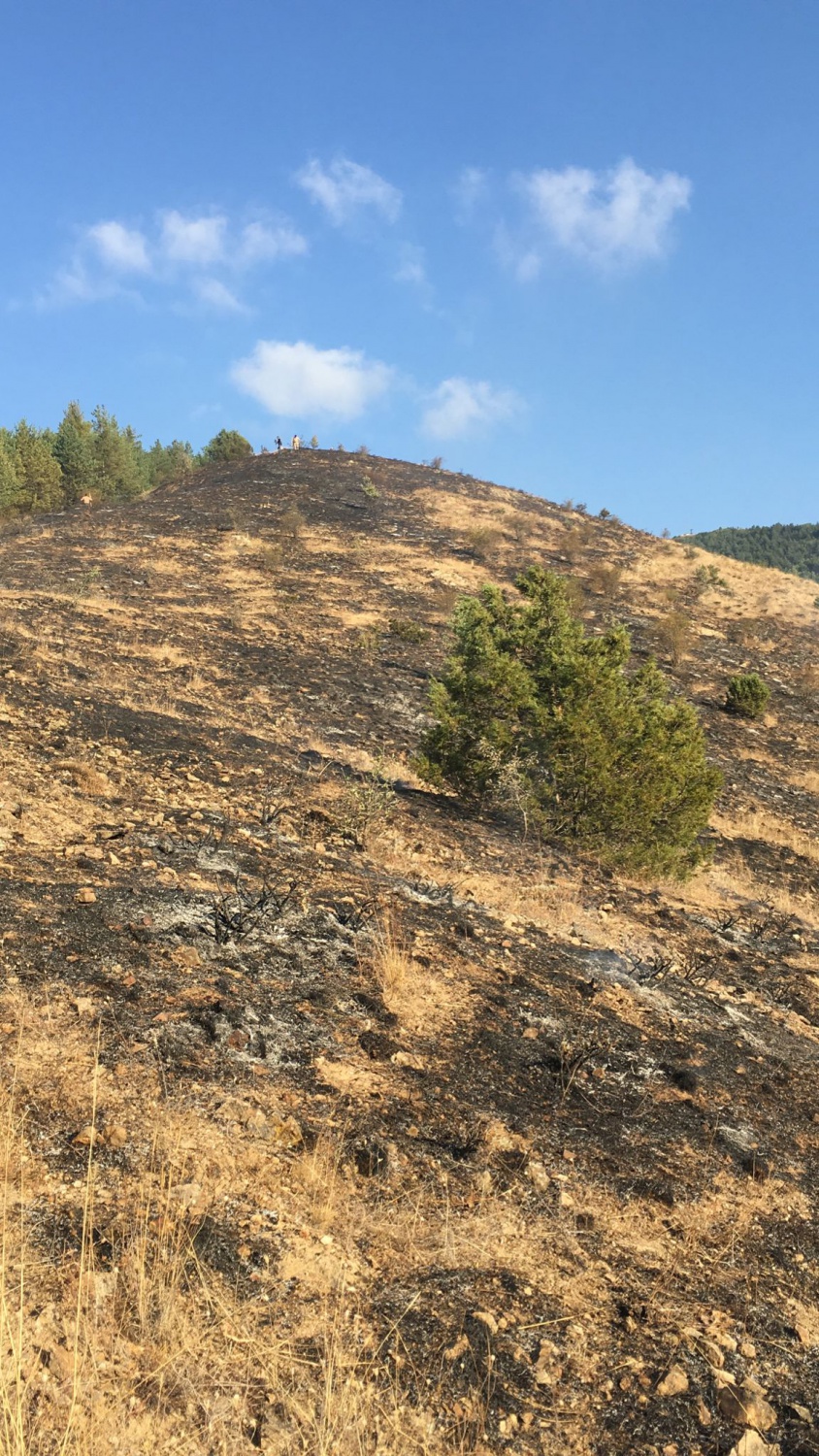 Gümüşhane'de iki köyde yangın paniği 9