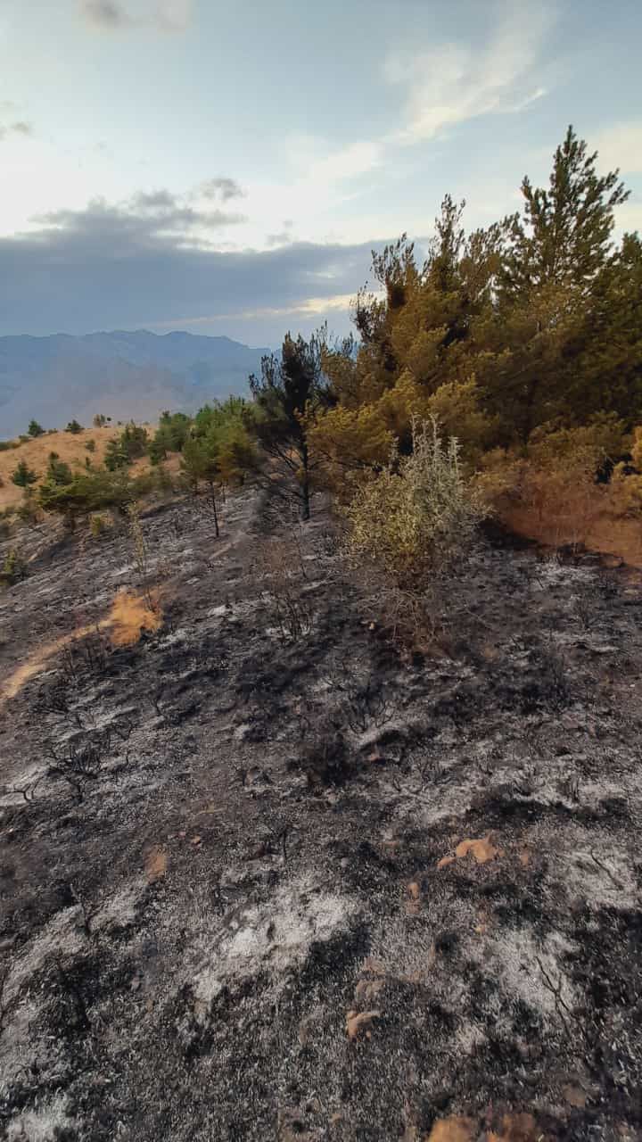 Gümüşhane'de iki köyde yangın paniği 1