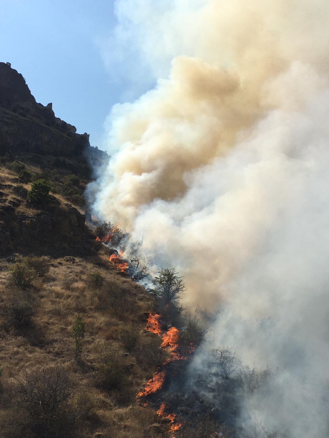 Gümüşhane’de örtü yangını: 2 hektarlık alan küle döndü  16