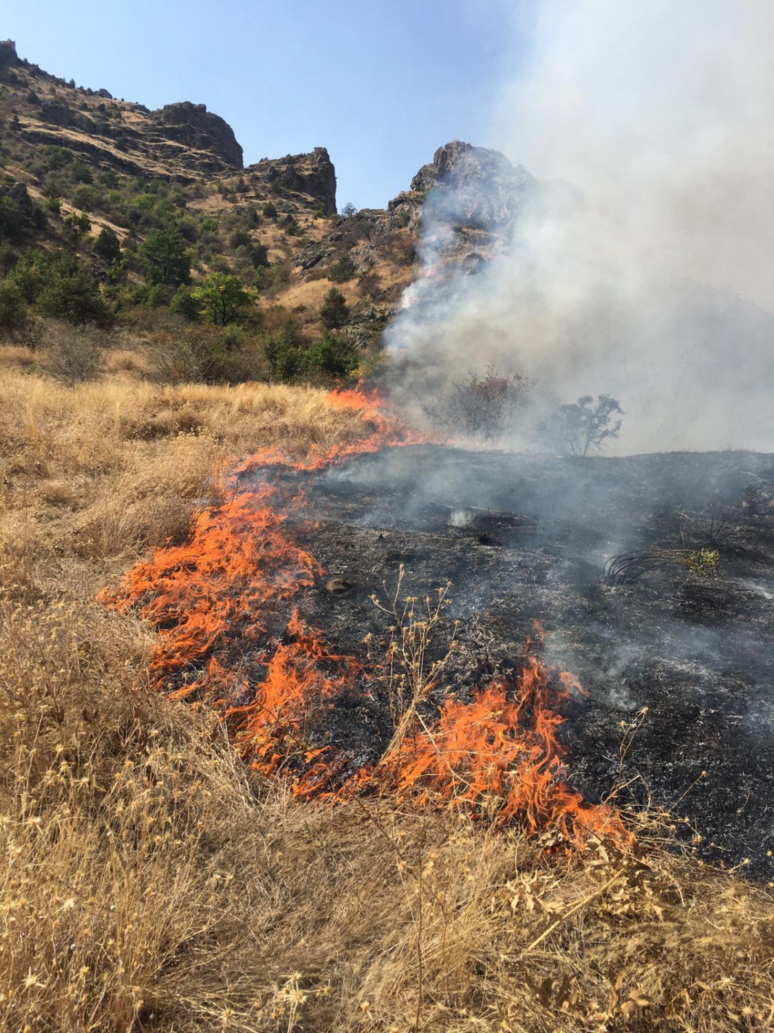 Gümüşhane’de örtü yangını: 2 hektarlık alan küle döndü  18