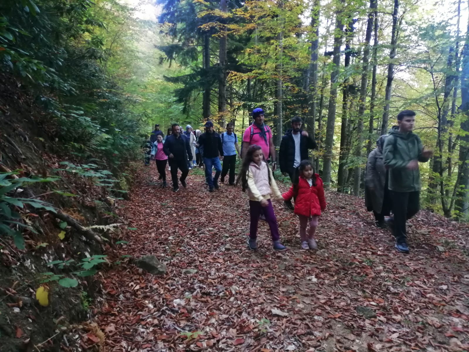 İzcilerden Örümcek Ormanları’nda doğa yürüyüşü  2