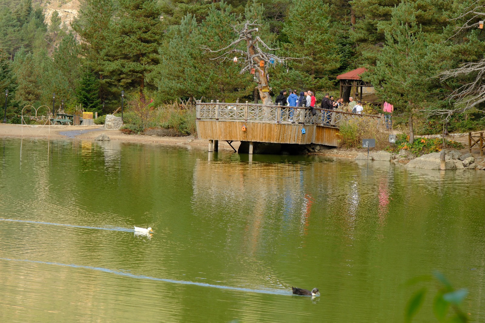İzci ve dağcılar 100. yılı Zigana’da kutladı 14