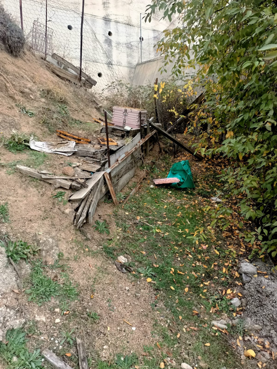 Ayılar kent merkezinde arı kovanını parçaladı 5