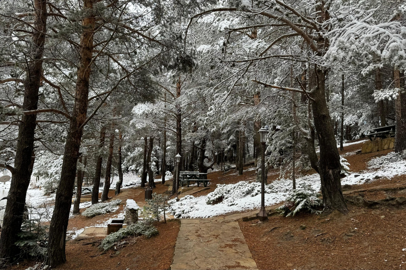 Zigana Dağı'nın eteklerindeki Limni Gölü beyaz gelinliğini giydi 7