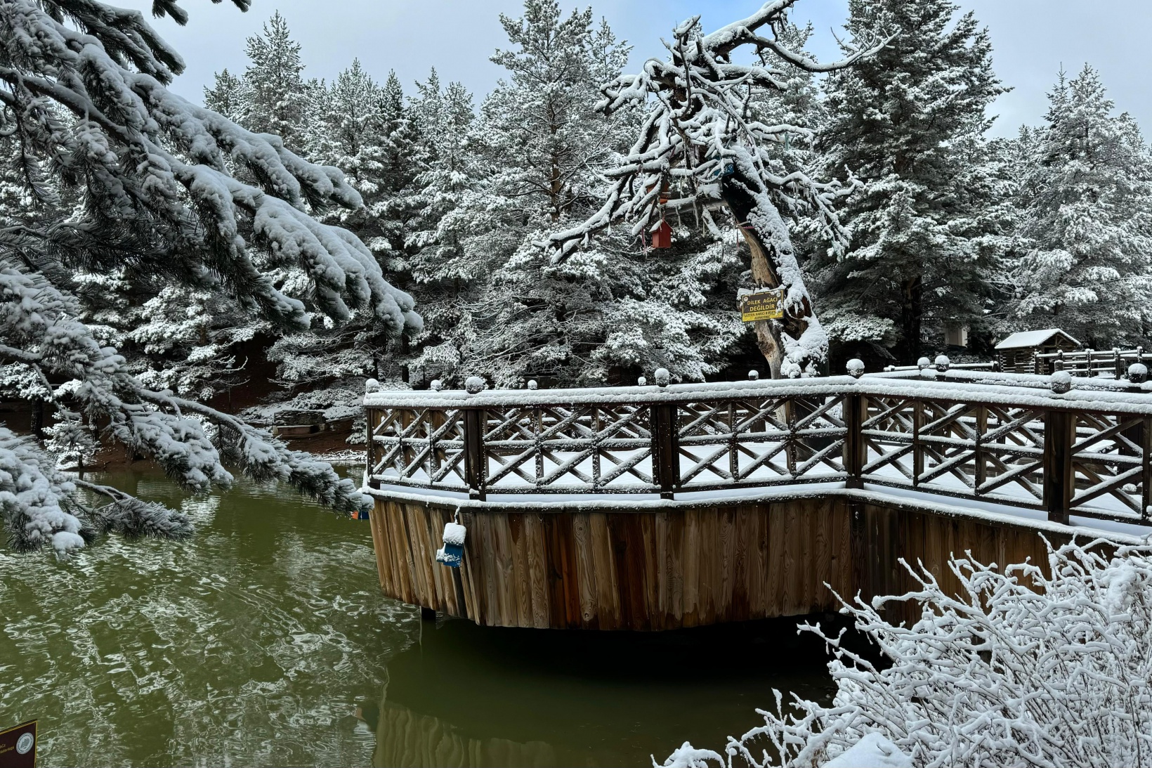 Zigana Dağı'nın eteklerindeki Limni Gölü beyaz gelinliğini giydi 6