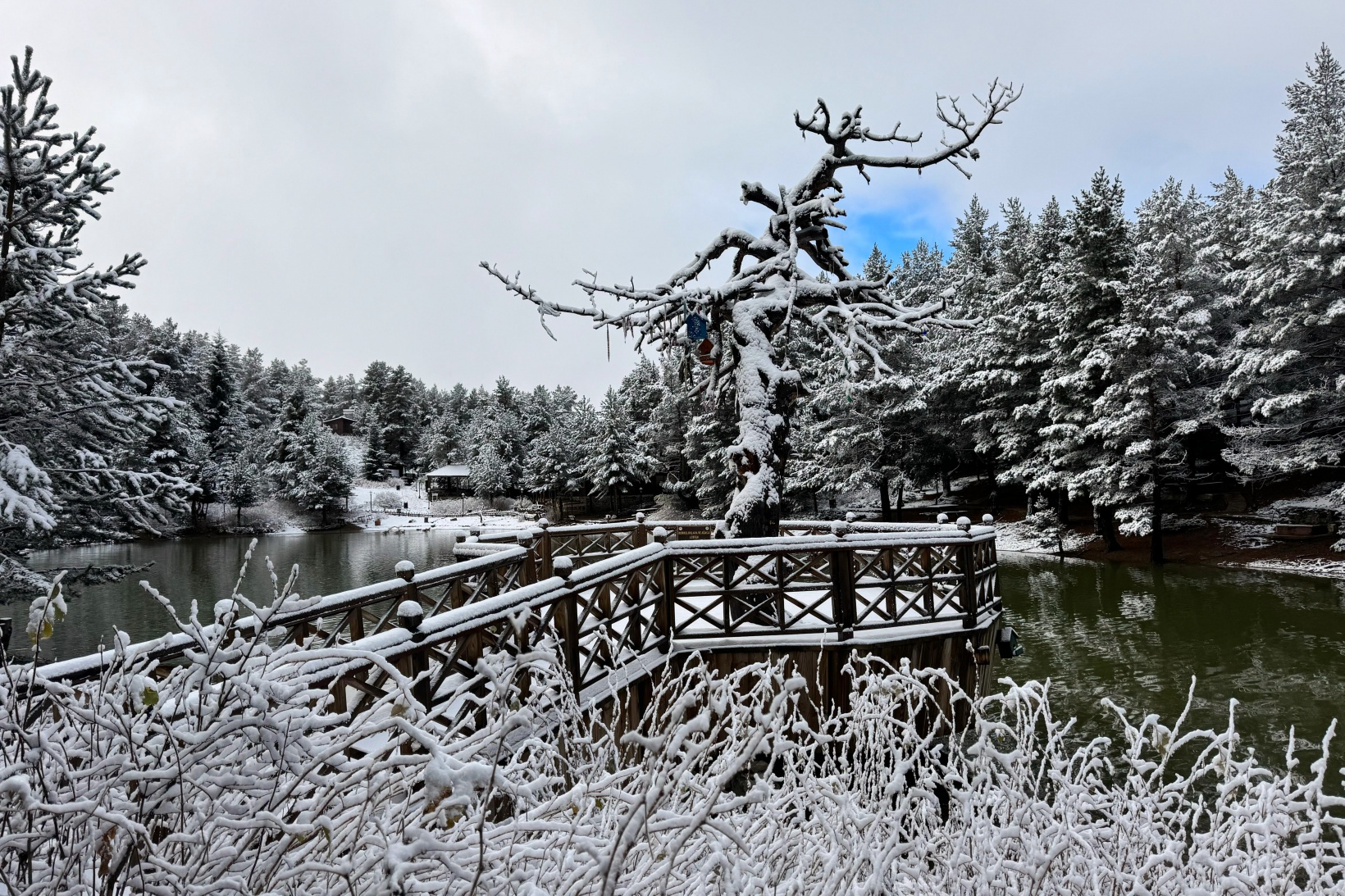 Zigana Dağı'nın eteklerindeki Limni Gölü beyaz gelinliğini giydi 14