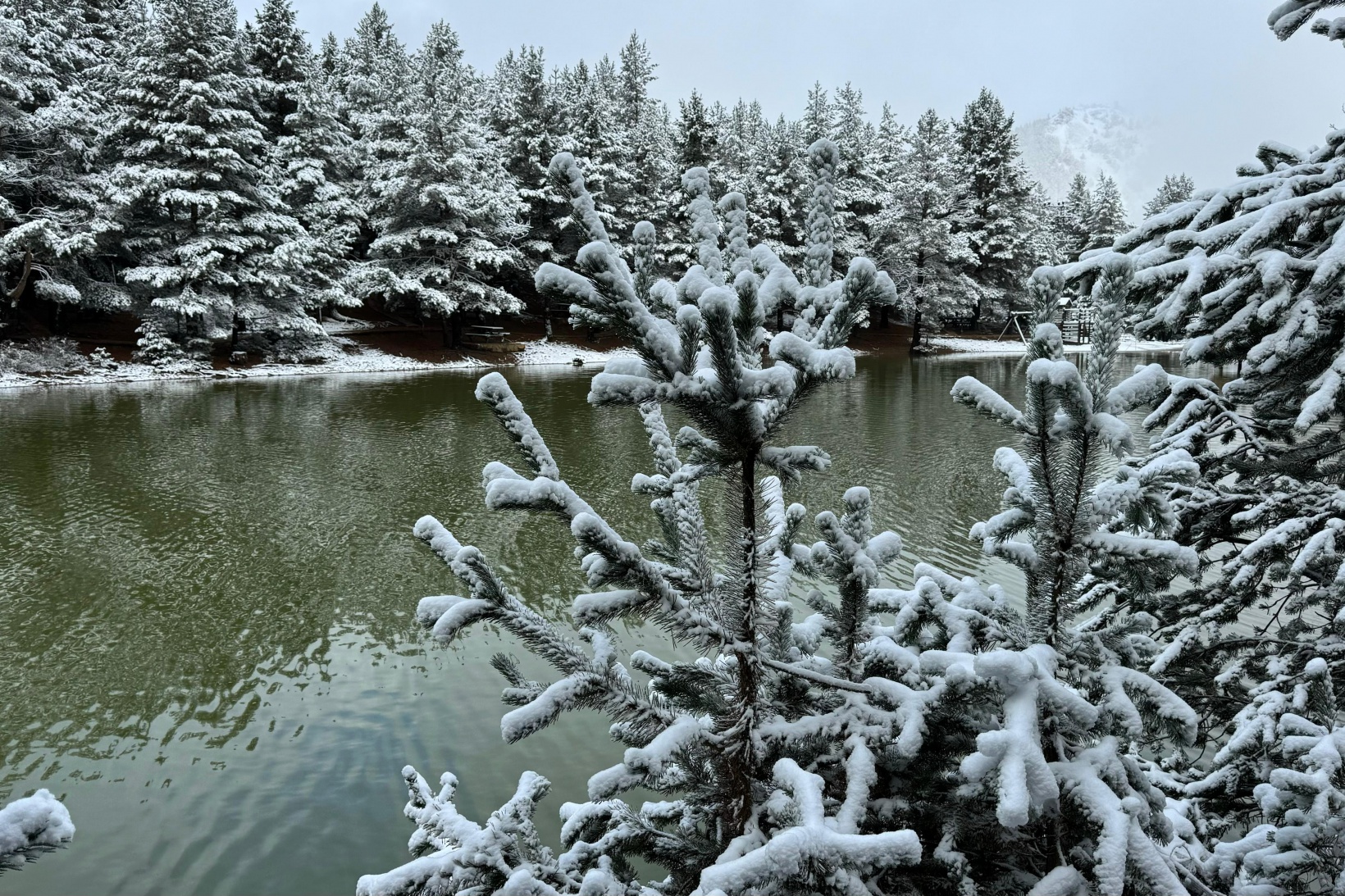 Zigana Dağı'nın eteklerindeki Limni Gölü beyaz gelinliğini giydi 12