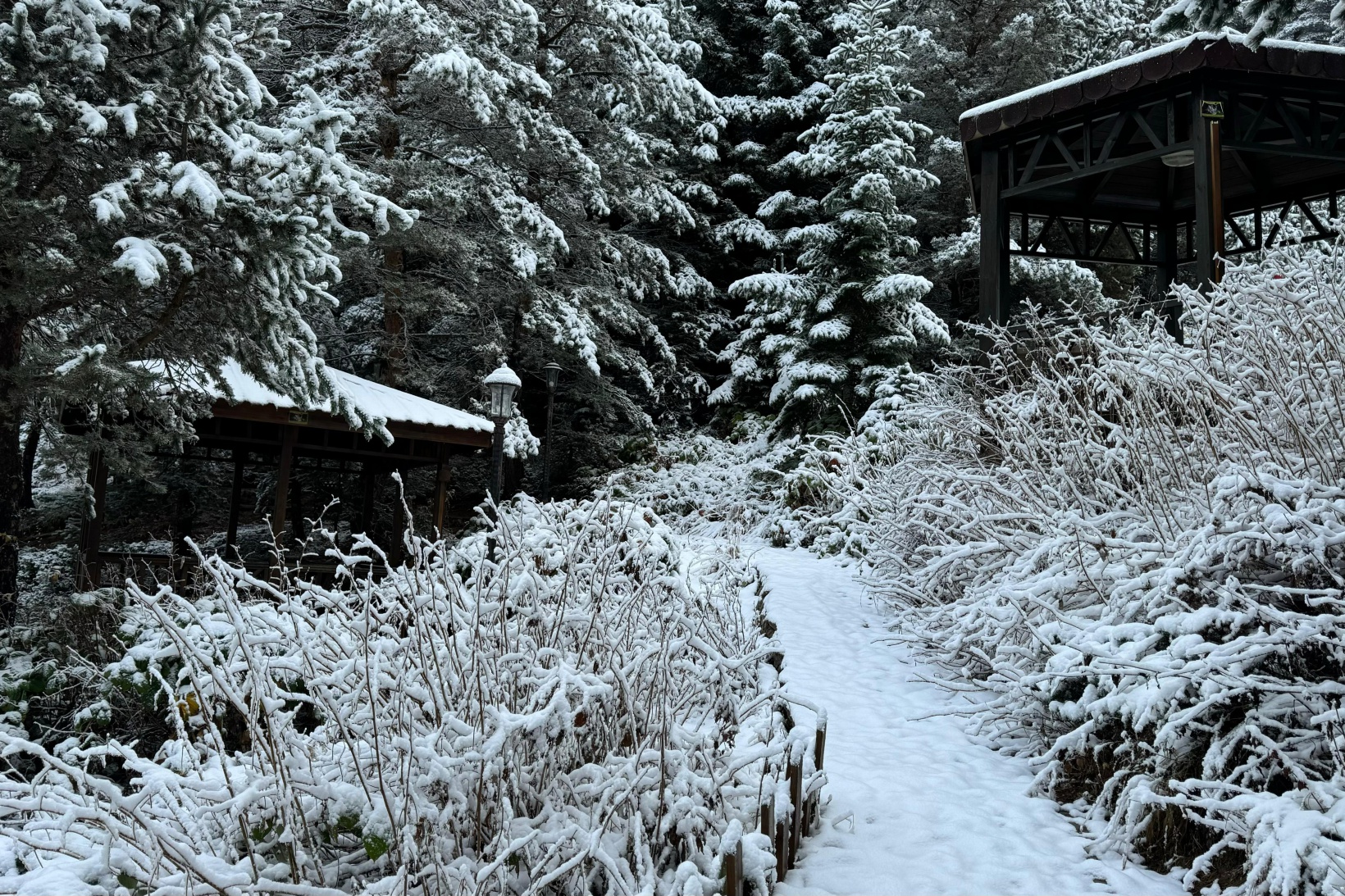 Zigana Dağı'nın eteklerindeki Limni Gölü beyaz gelinliğini giydi 4