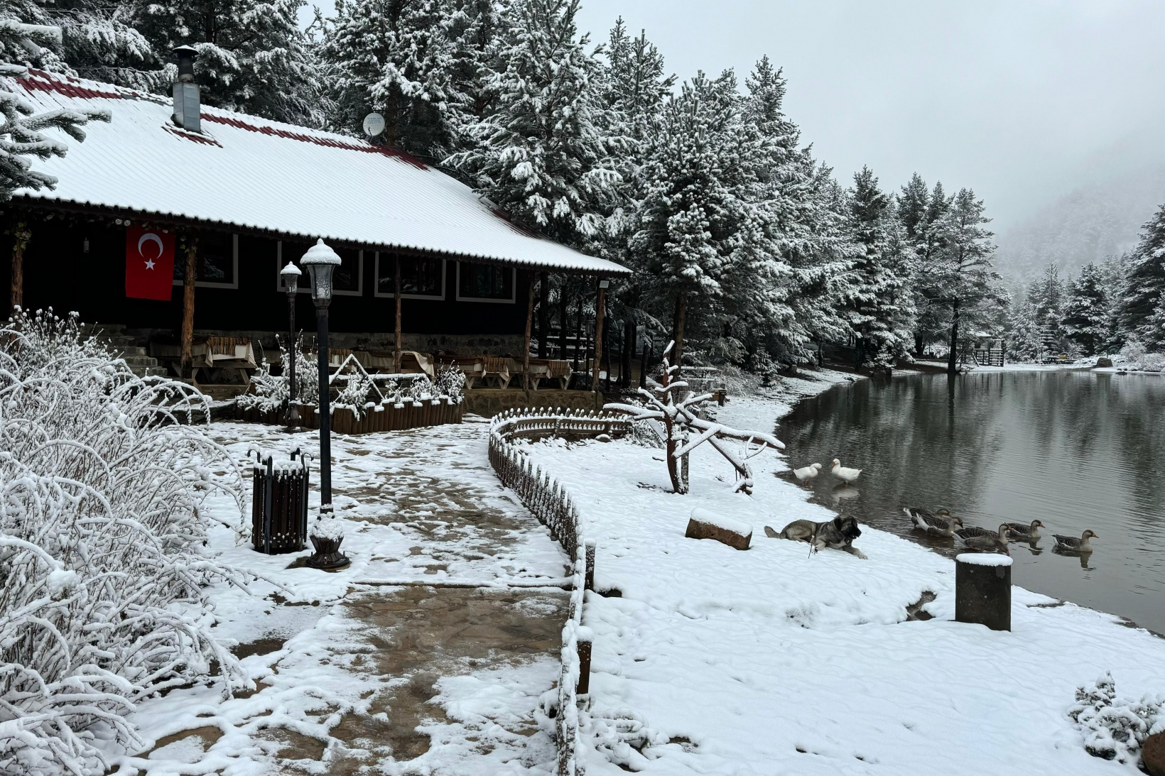 Zigana Dağı'nın eteklerindeki Limni Gölü beyaz gelinliğini giydi 16