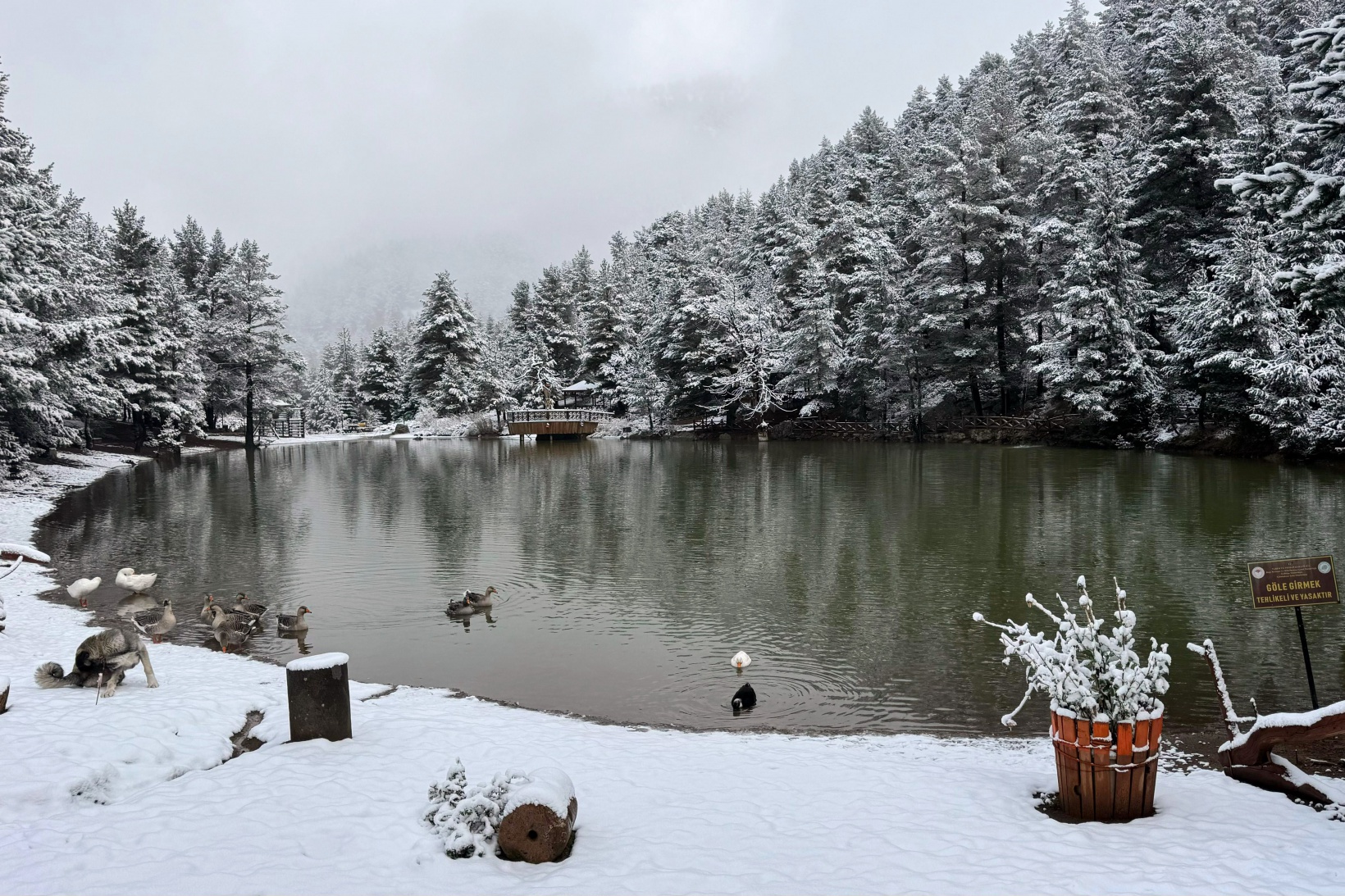 Zigana Dağı'nın eteklerindeki Limni Gölü beyaz gelinliğini giydi 13