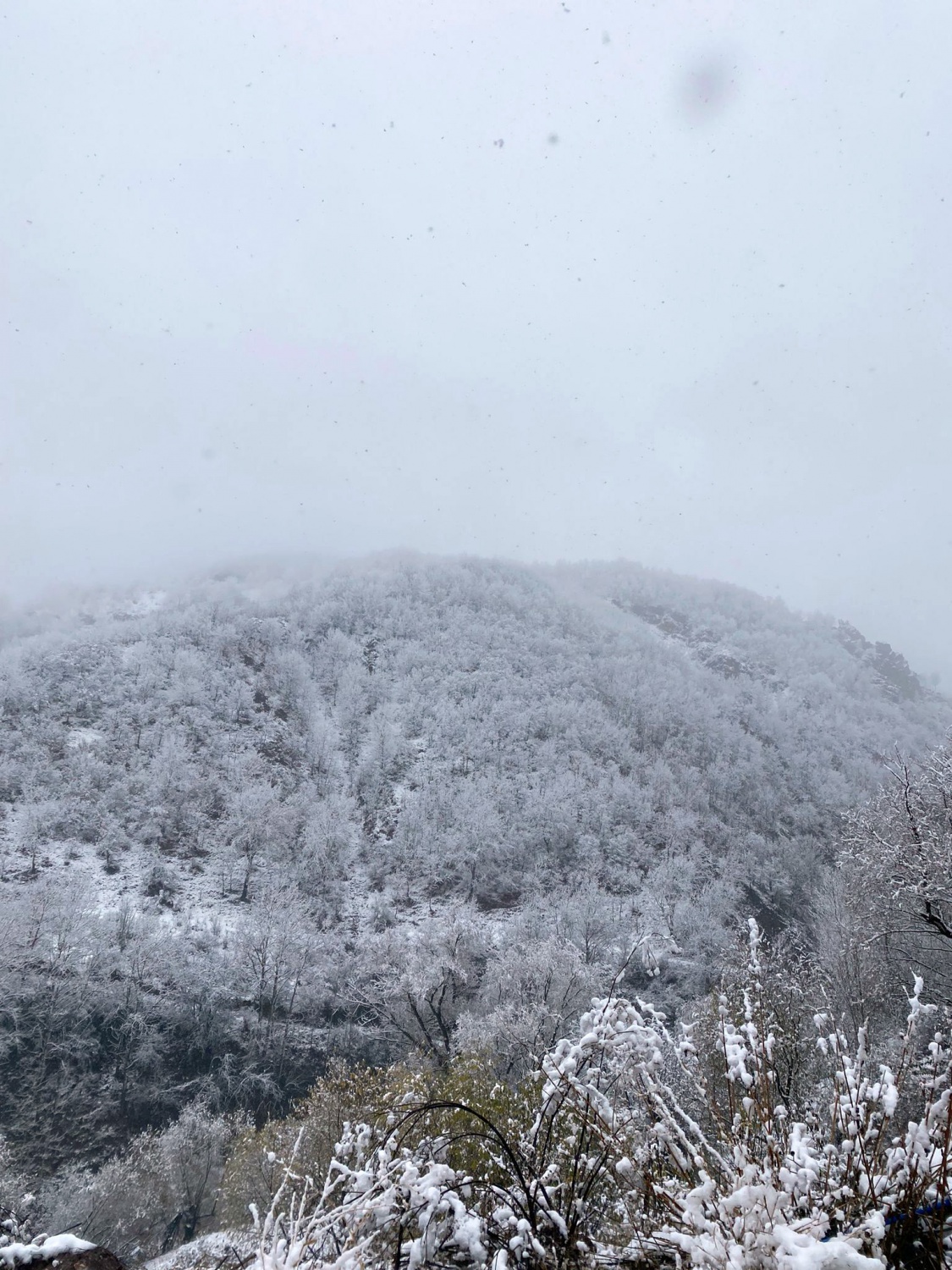 Gümüşhane’nin yükseklerinde kar yağışı ve tipi etkili oluyor 5